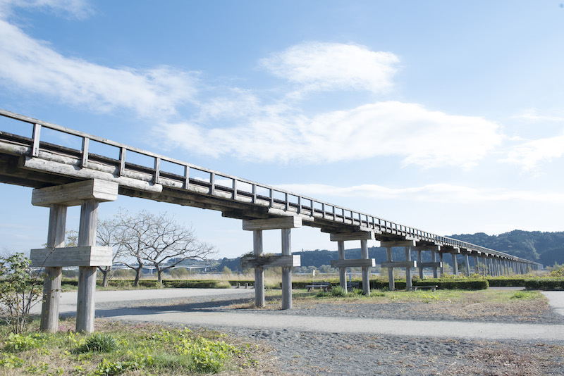 溫故知新 大井川的川越之旅 後篇 遊覽大井川