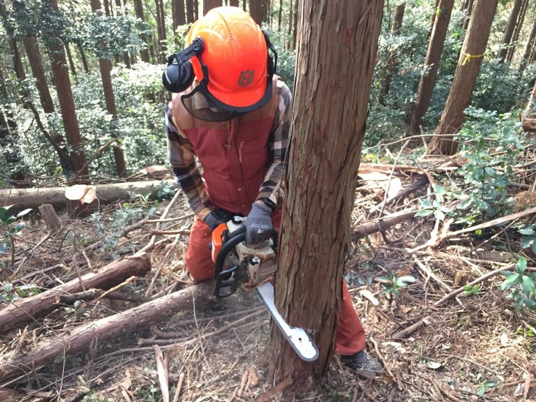 きこり体験（Forestry life.）