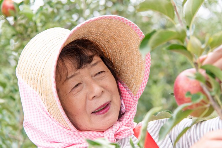 Hiromi Chan’s apple orchard