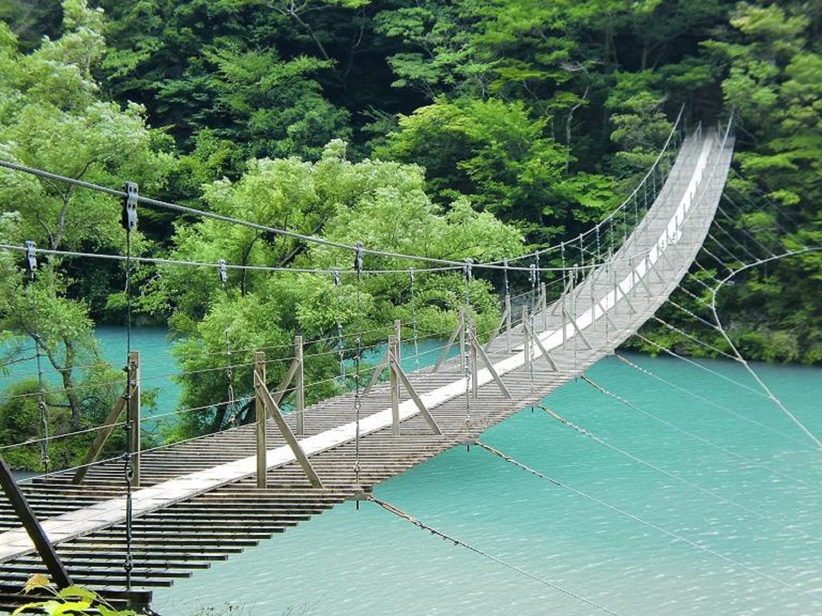 つり橋巡り 旅する大井川