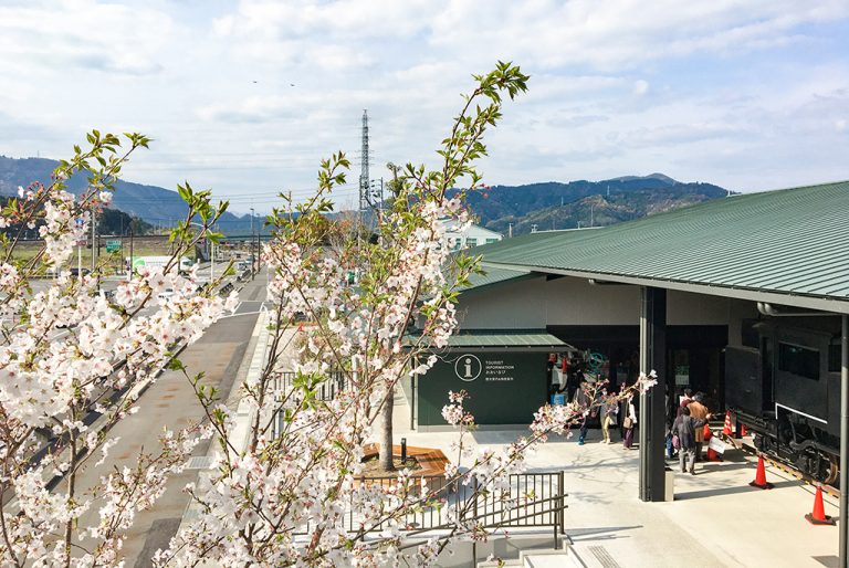 島田市の花見を盛り上げる「お花見団子セット」！地元産の食材と、7種からセレクトするお茶を堪能♪