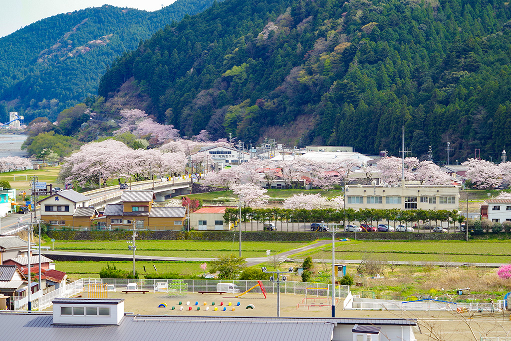 川根の桜スポットを見渡すことができる「天王山公園」
