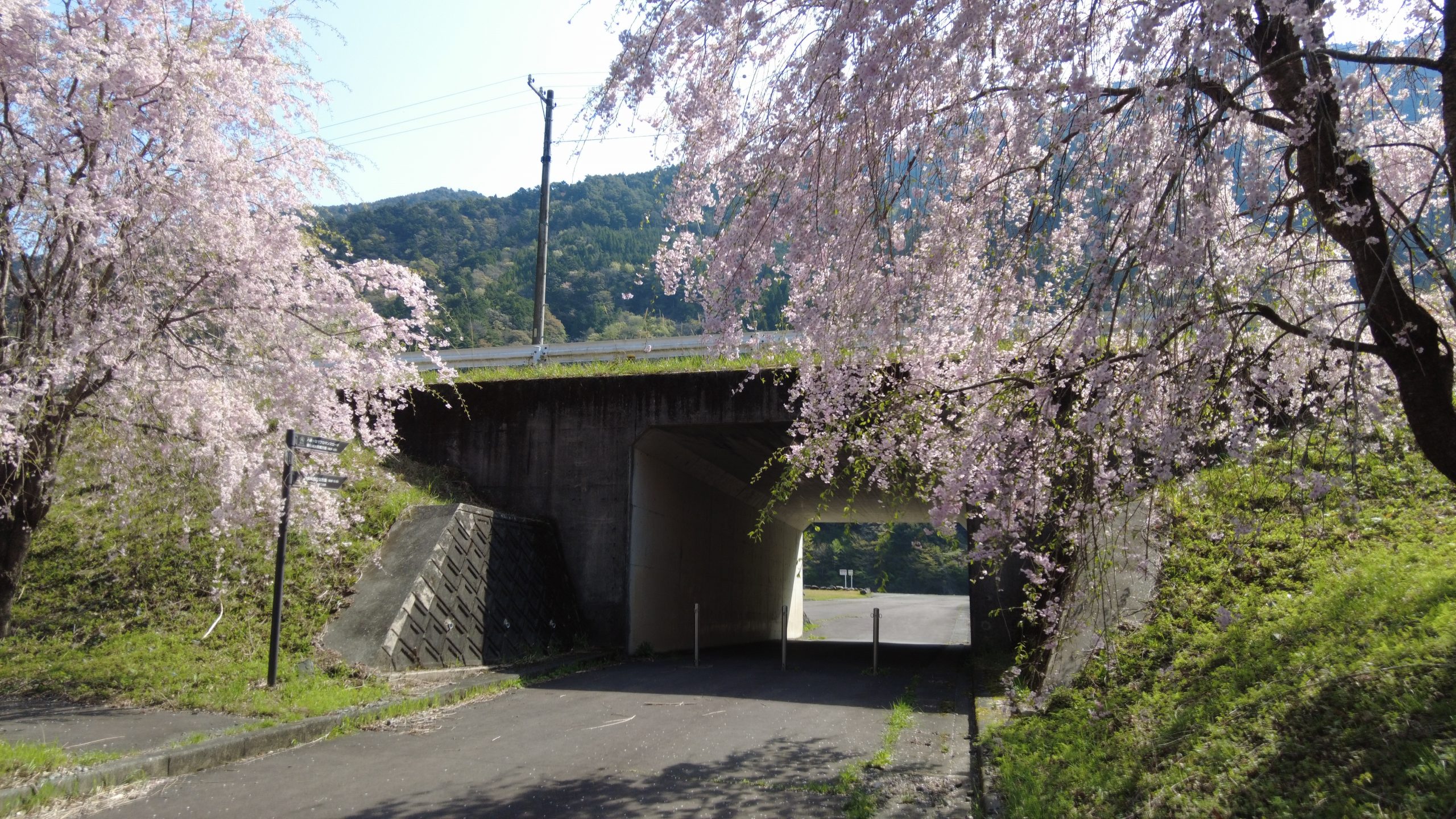 長島公園から道路の下をくぐると、南アルプス大吊橋へとつながる道がありました。