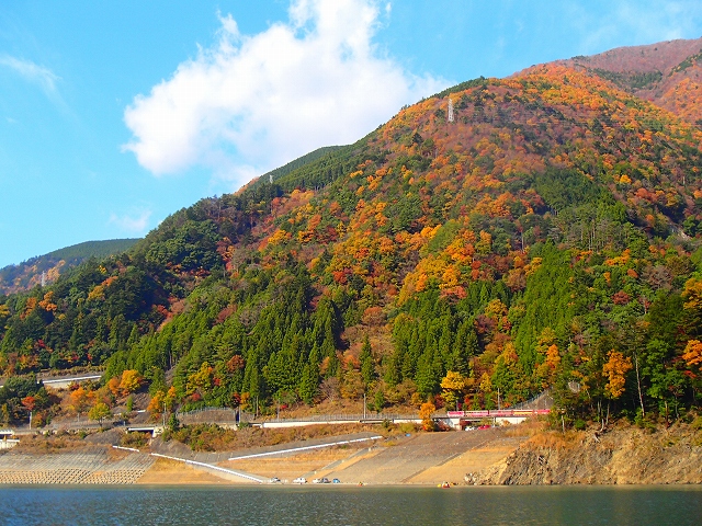 紅葉シーズンの様子