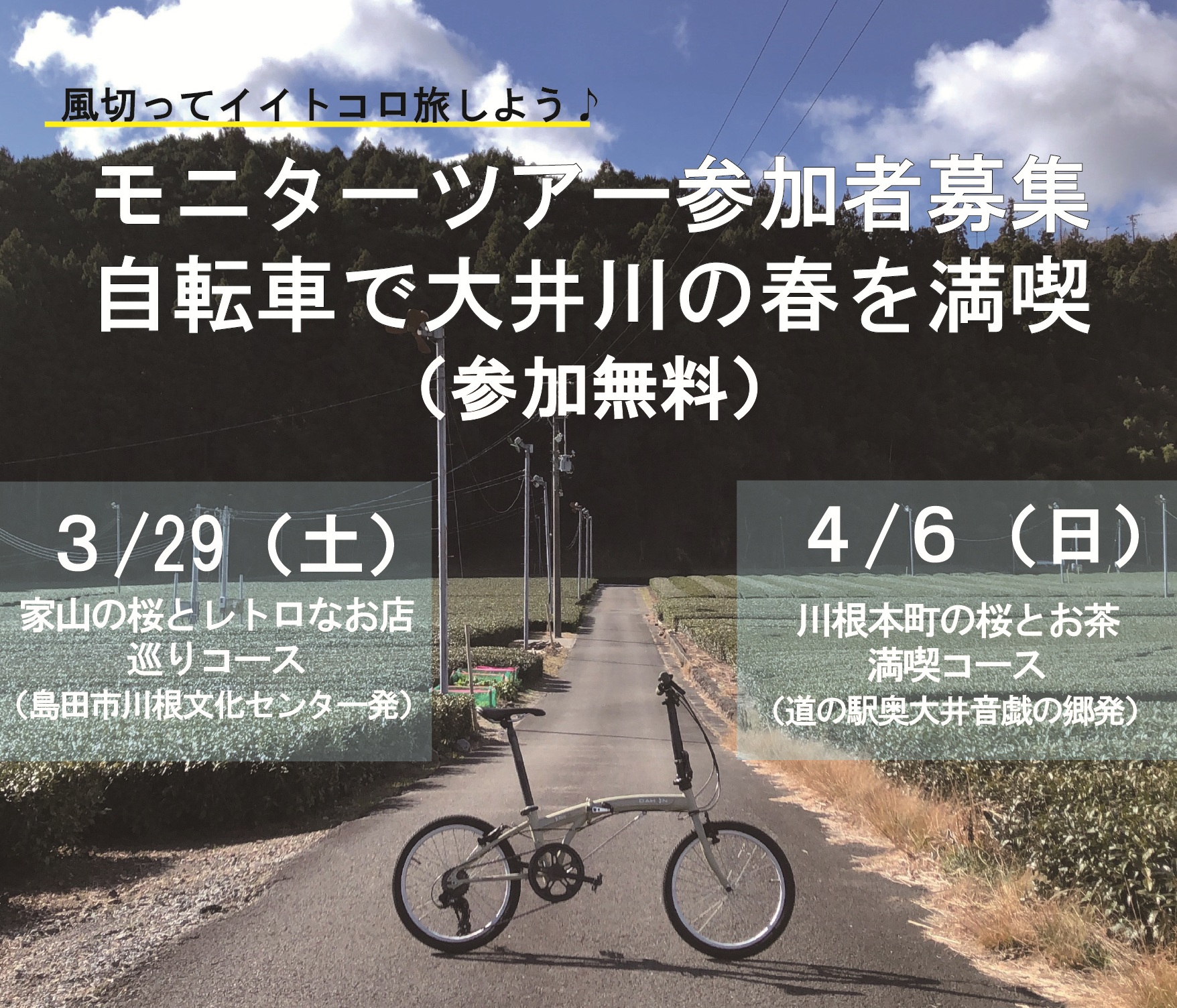 【３/29,４/６】モニターツアー参加者募集！自転車で大井川の桜めぐり（参加無料）