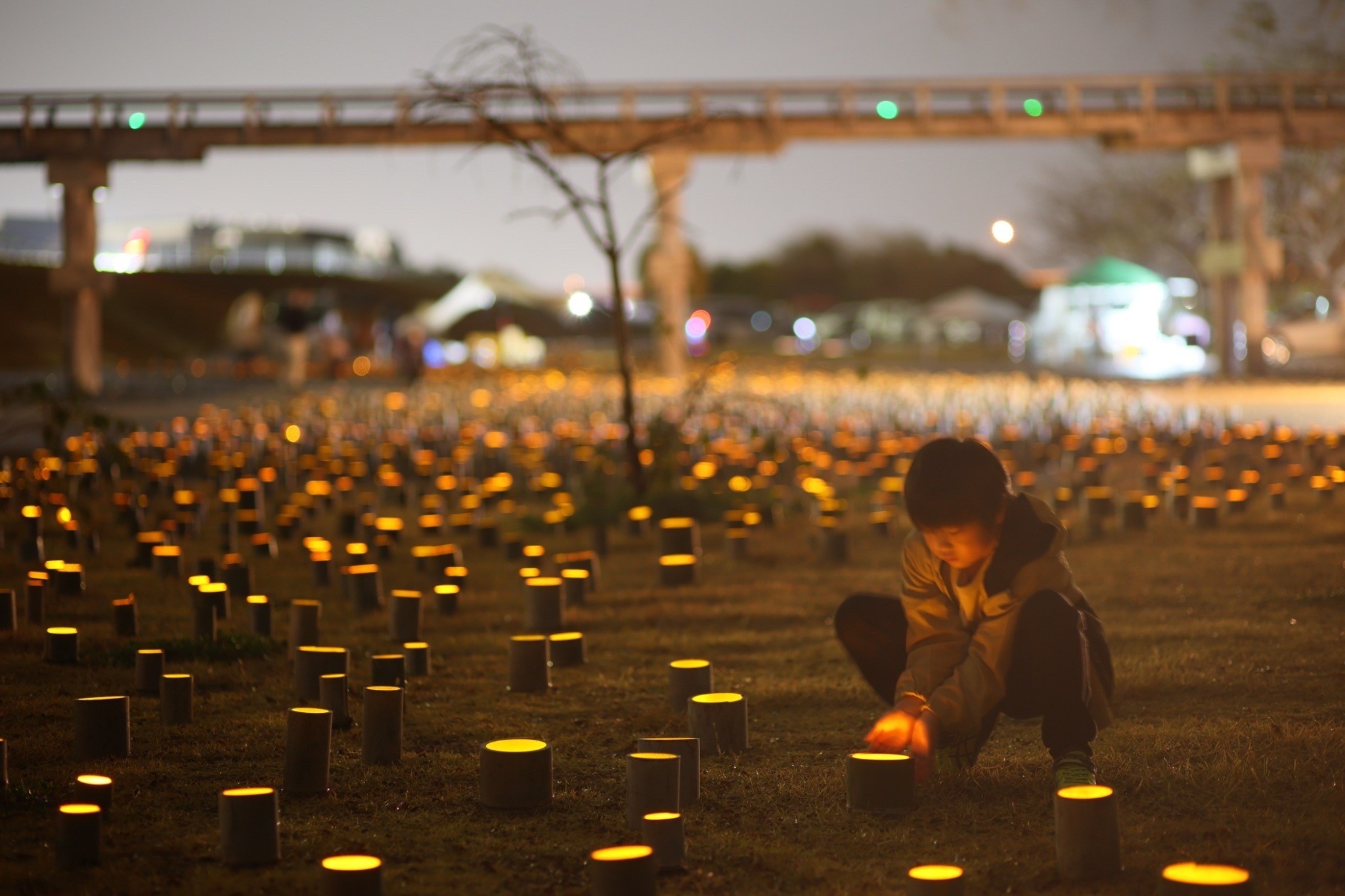 【11.2（日）】蓬莱橋に広がる幻想的な光景｜竹あかりプロジェクトと高校生ボランティアの活躍