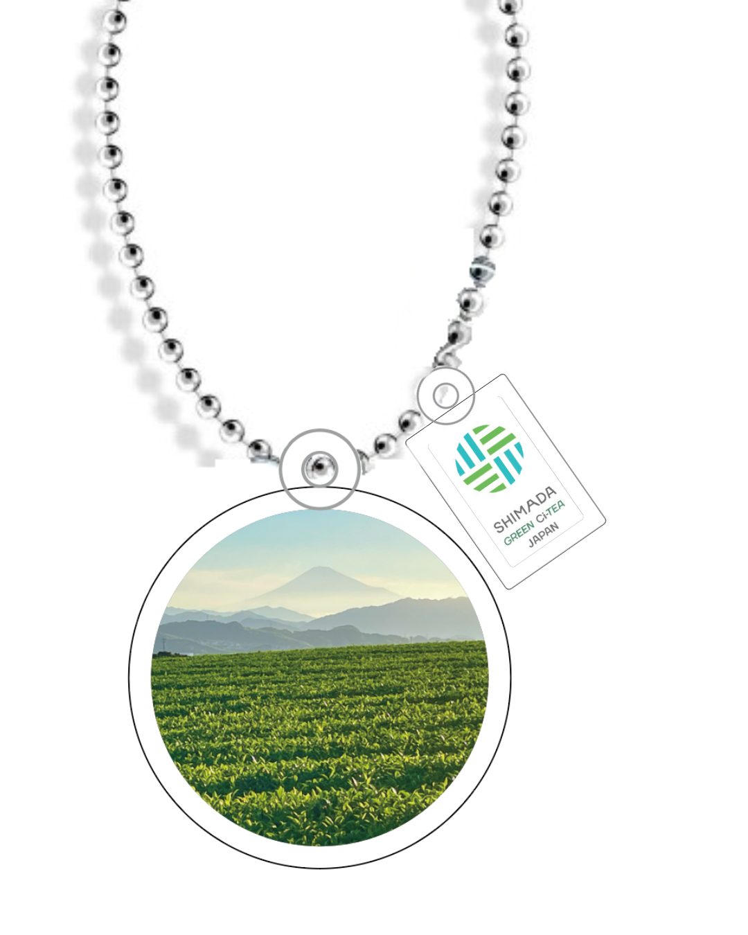 富士山と茶畑（牧之原大茶園からの眺望）